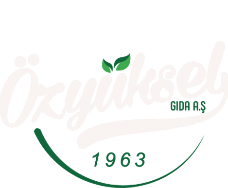 Anasayfa