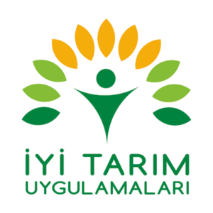 İhracat / Export
